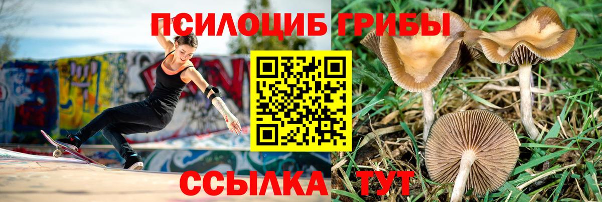 Псилоцибиновые грибы Magic Shrooms Воркута